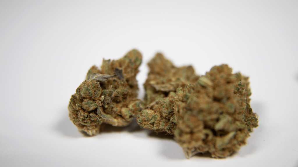 THC vs. CBD: Clearing Up the Confusion for New Cannabis Users