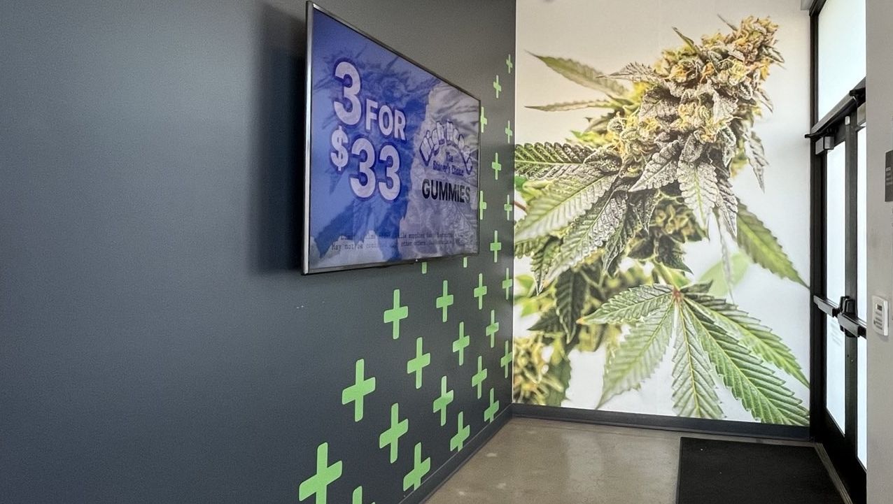 Why Cannabis Education Matters for Everyone